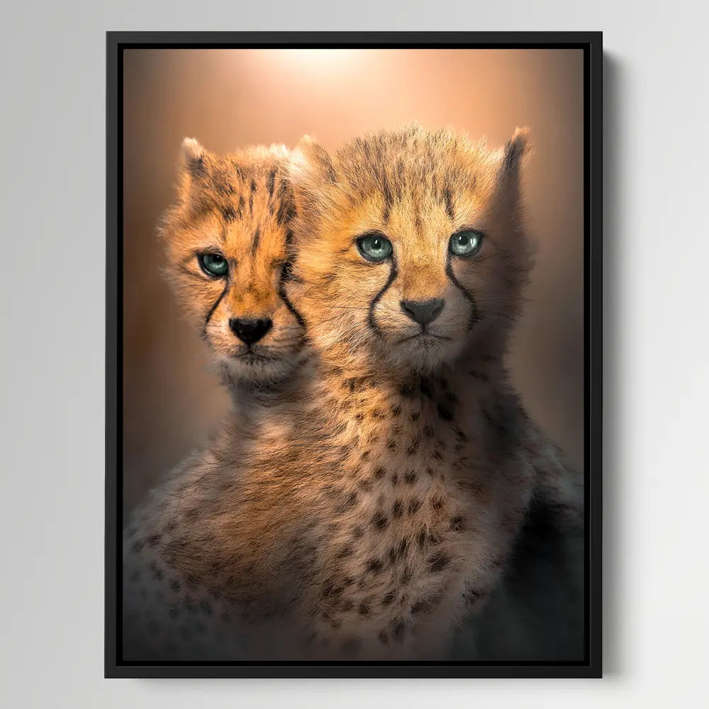 Cheetah Cubs