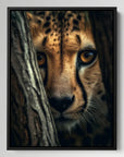 Cheetah Hiding