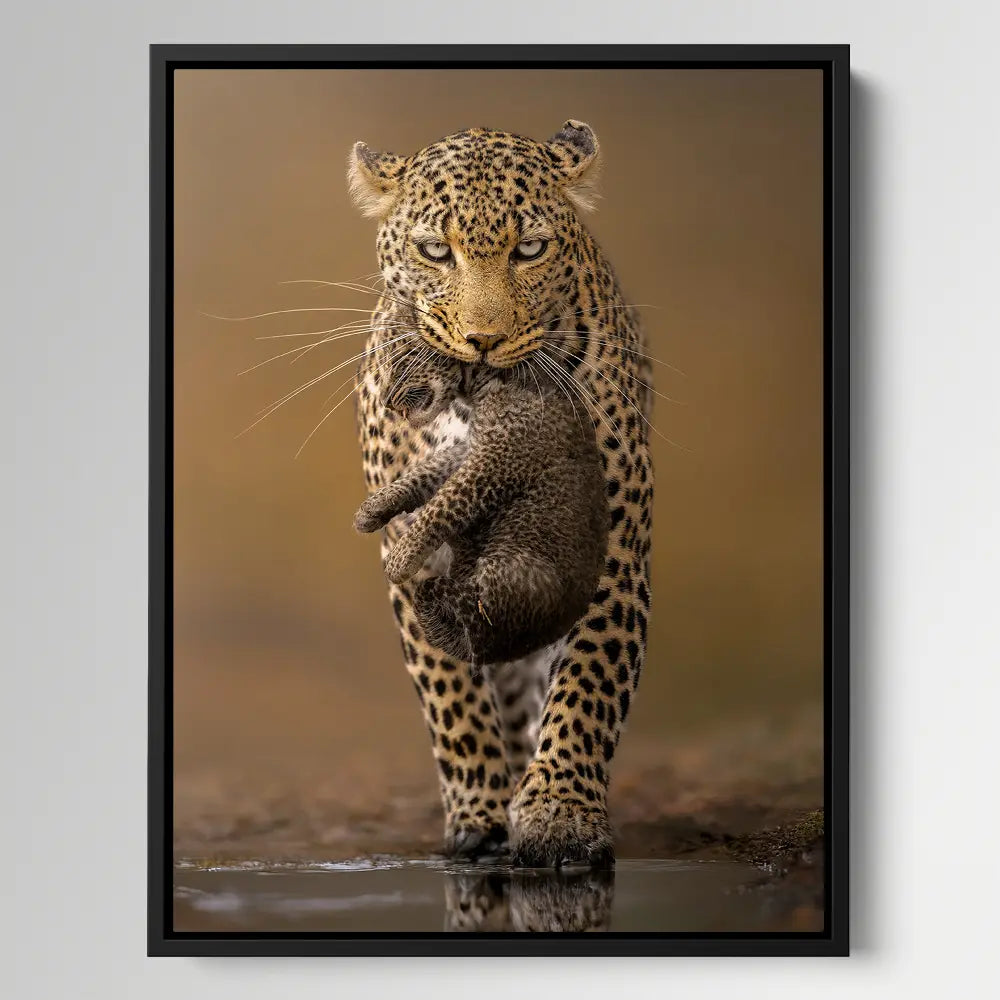 Cub Carrier
