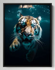 Diving Tiger