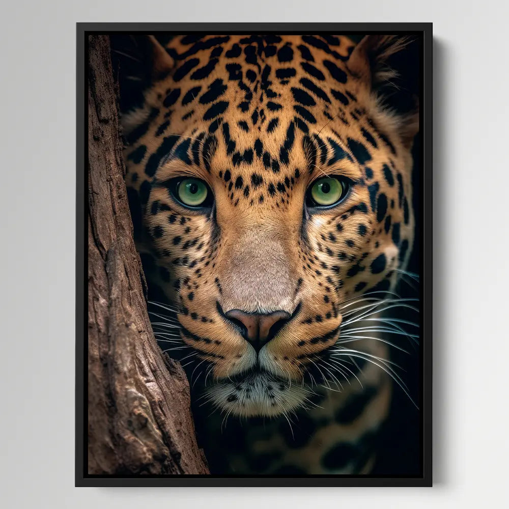 Hiding Leopard