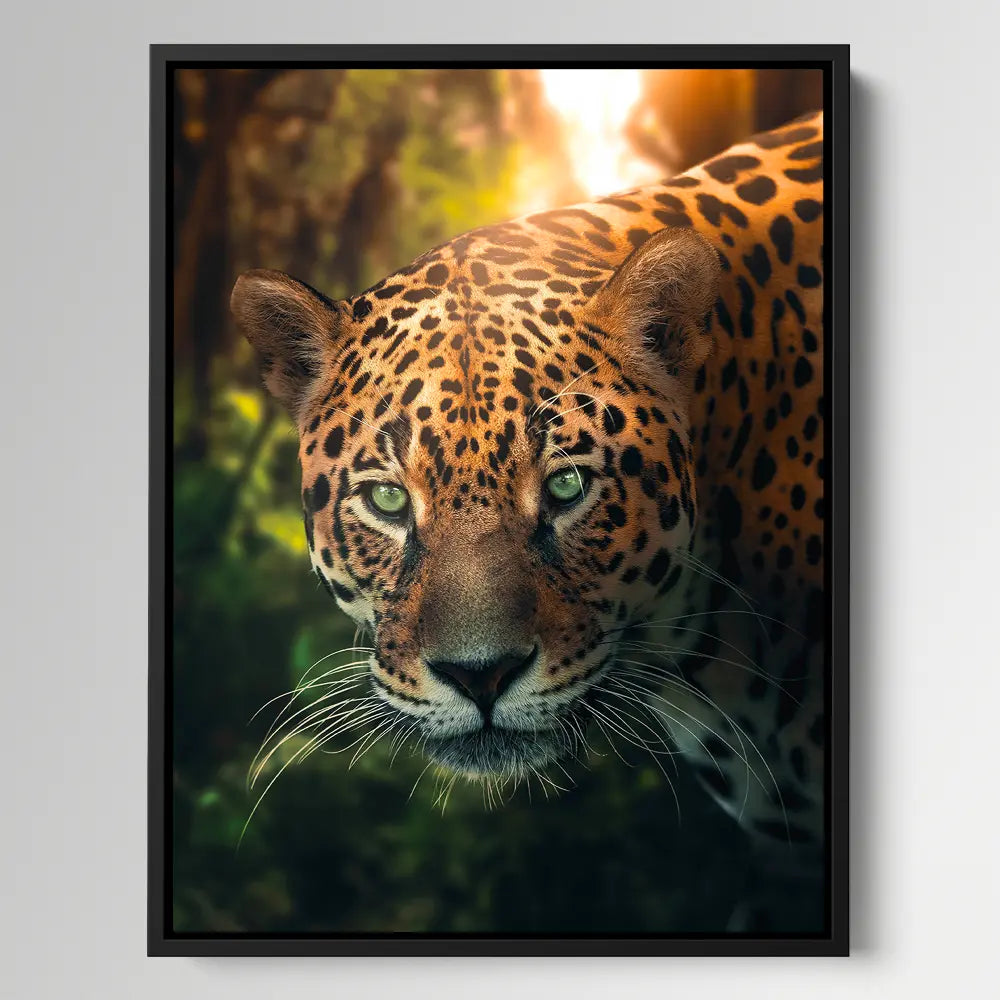 Leopard Amazone