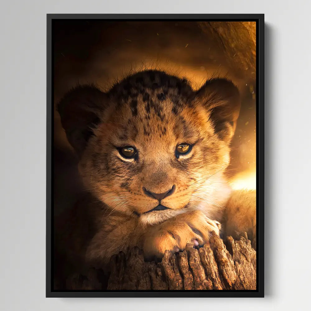 Lion Cub