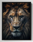Lion Portrait