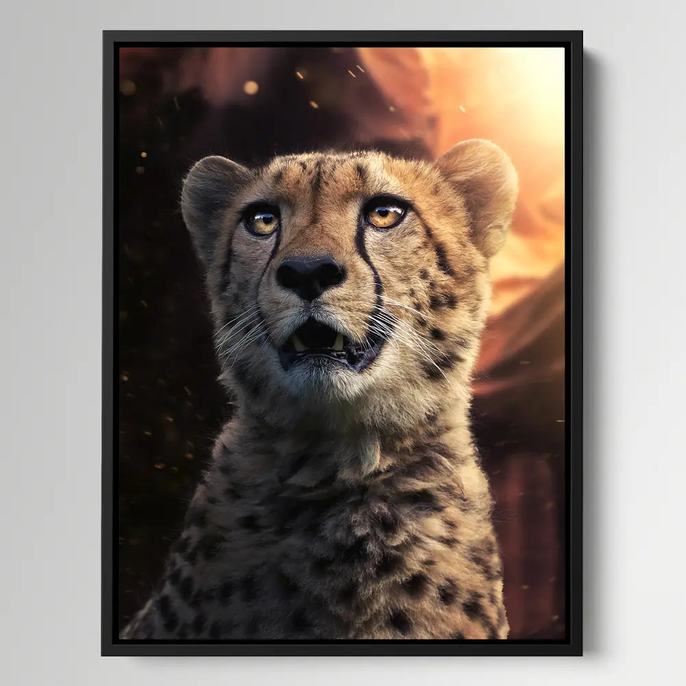 Magical Cheetah