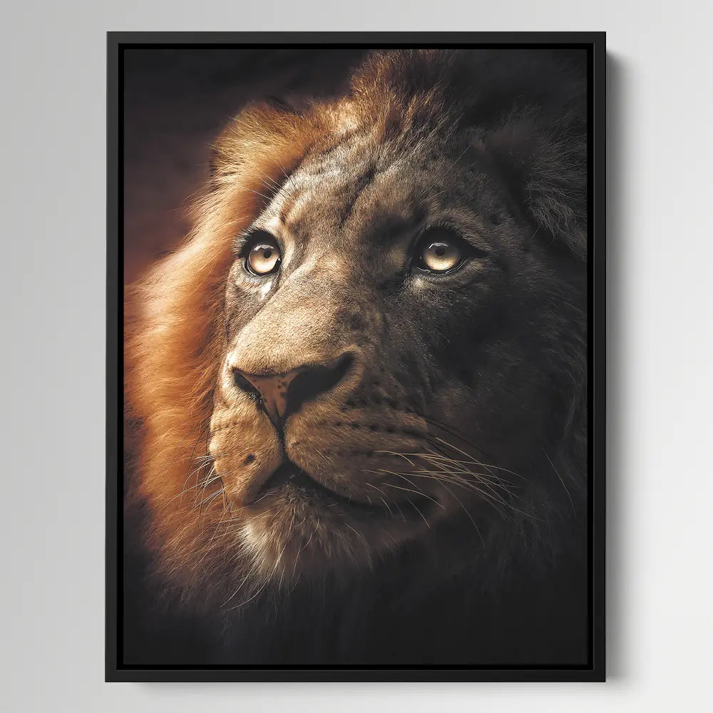 Majestic Lion