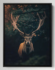 Moody Deer
