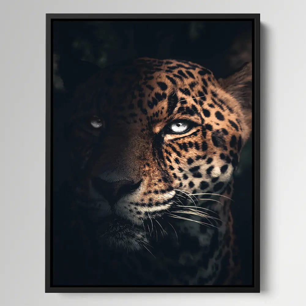 Wild Jaguar
