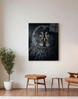 Owl At Night