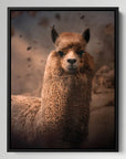Alpaca Dust