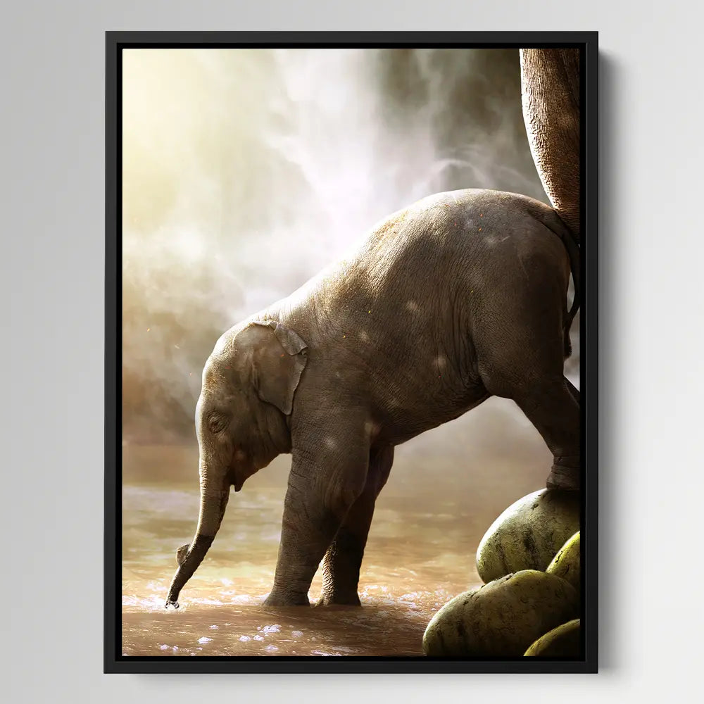 Baby Elephant