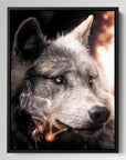 Big Bad Wolf