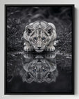 Black And White Lion Cub