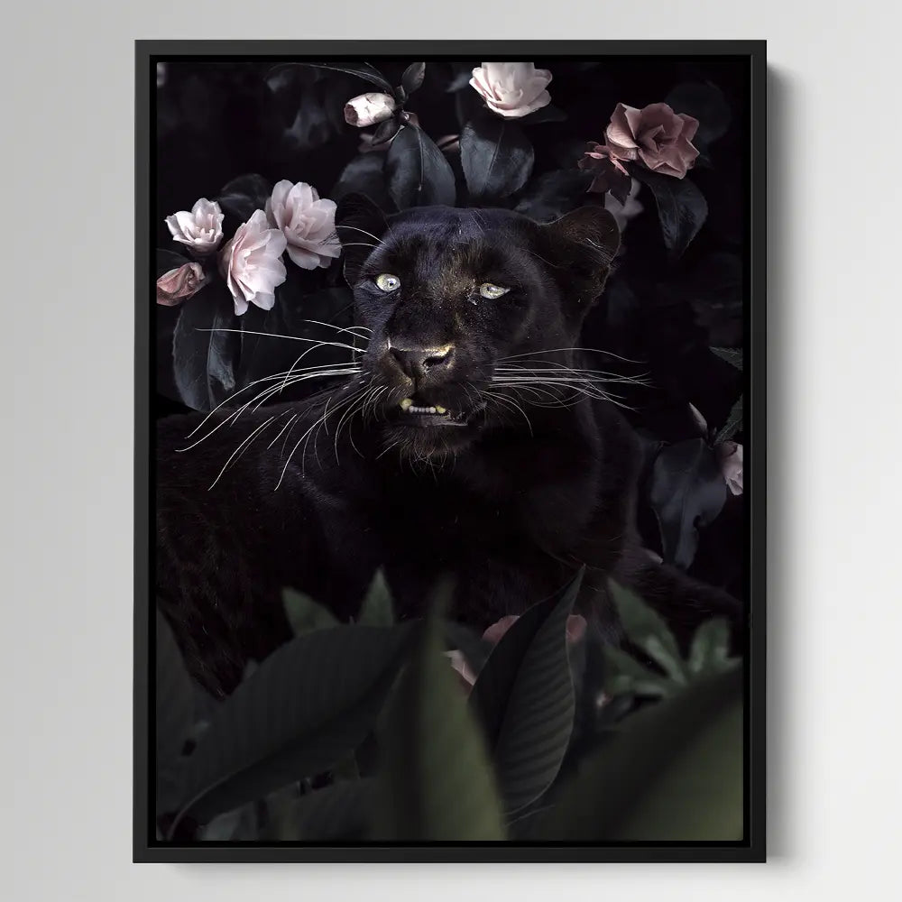 Black Panther Roses