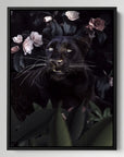 Black Panther Roses