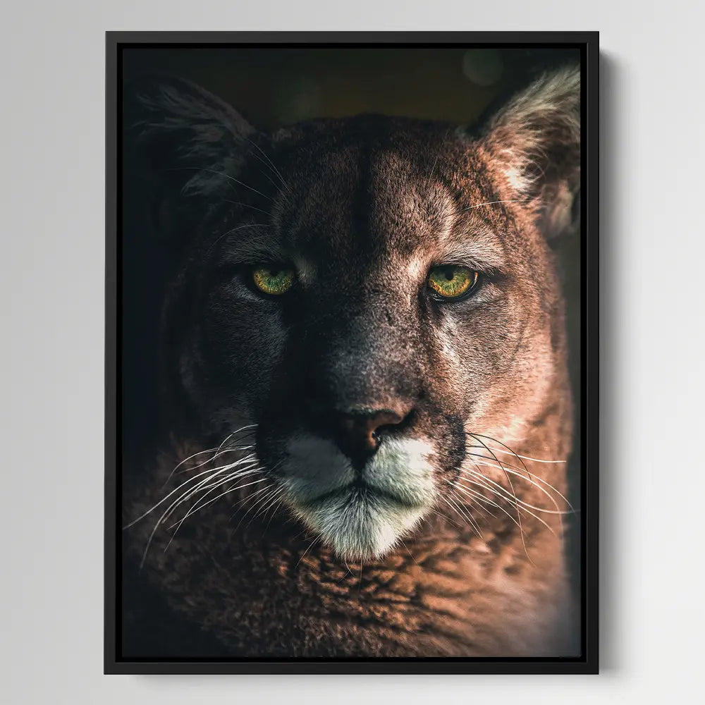 Bobcat