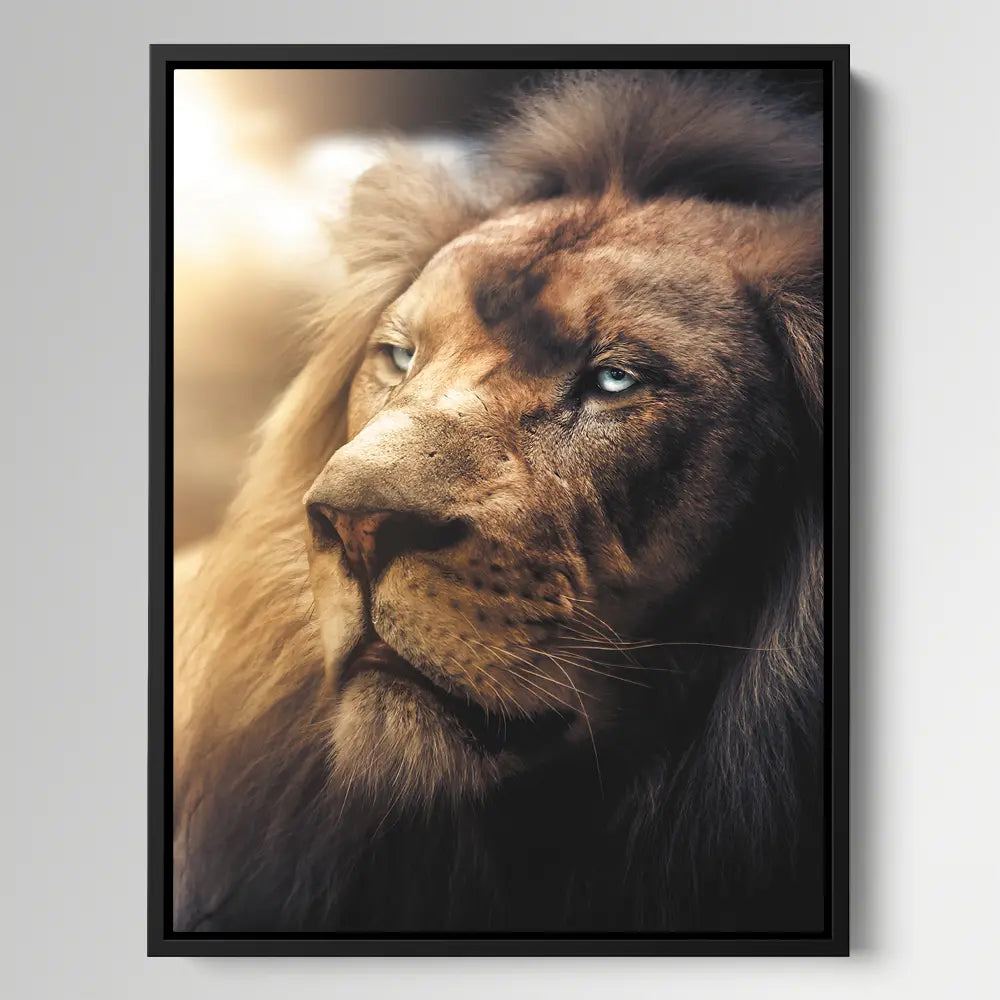 Boss Lion