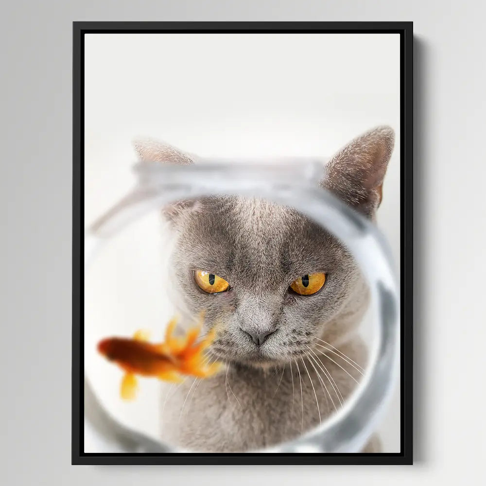 Cat Fish