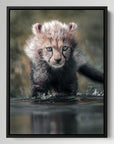 Cheetah Cub Water