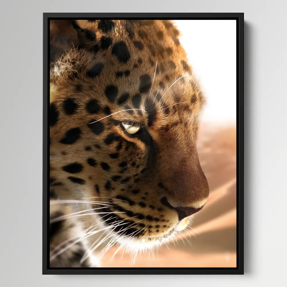 Cheetah Side