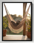 Chilling Sloth