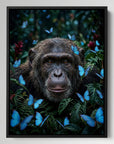 Chimp Butterflies
