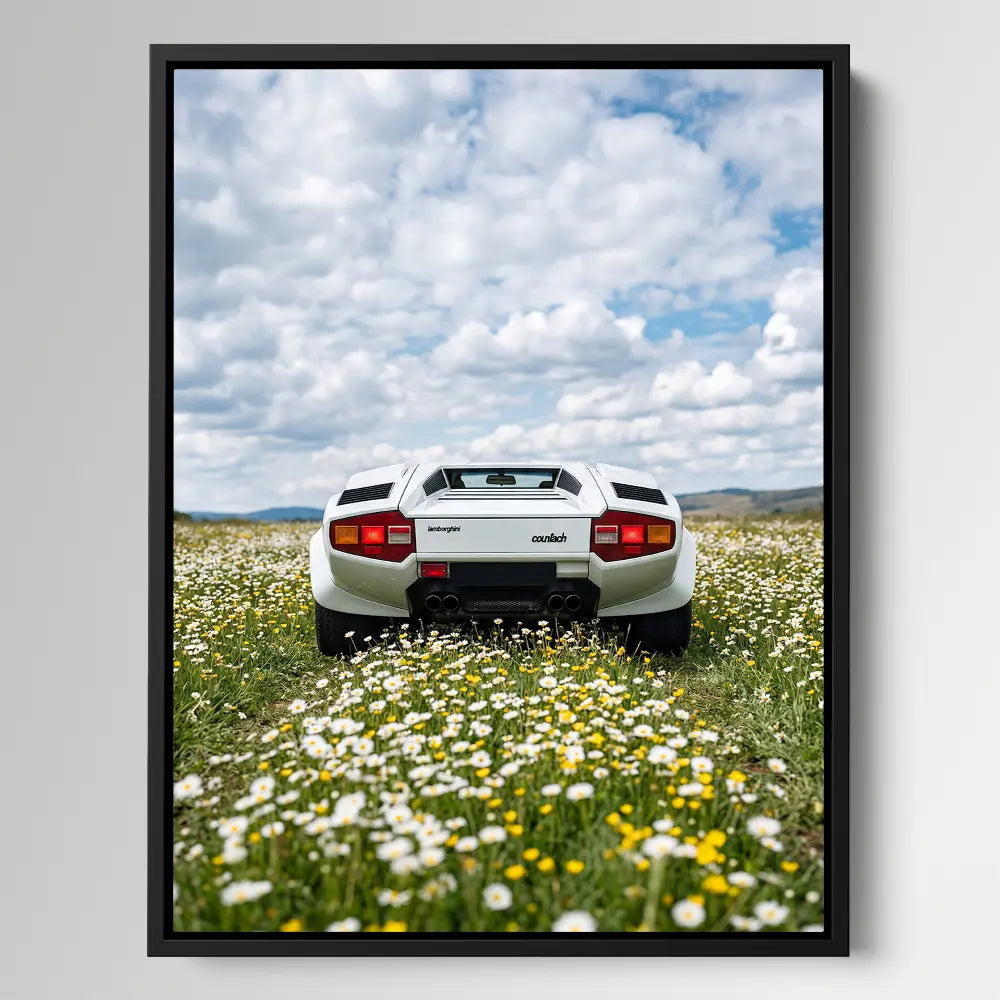 Classic Countach Dream