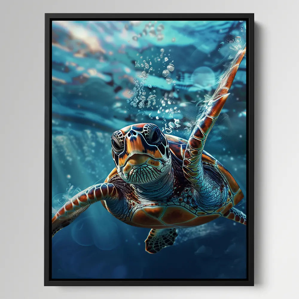 Clear Turtle