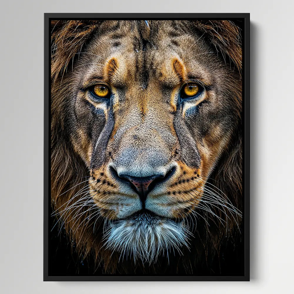 Close Up Lion