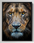 Close Up Lion