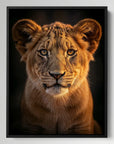 Cute Lion Cub