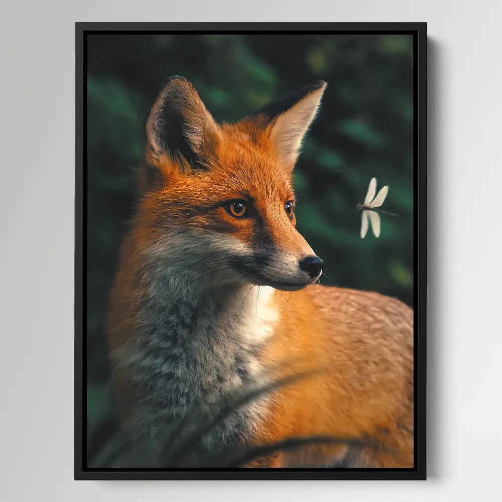 Dragonfly Fox