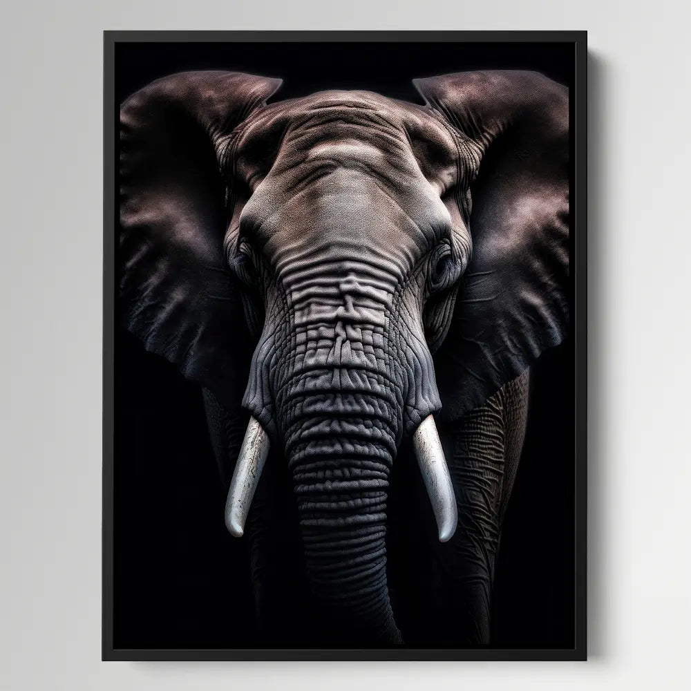 Elephant Black Portrait