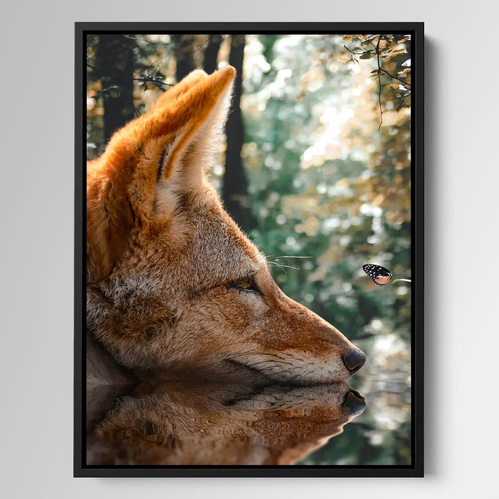 Fox Butterfly Reflection