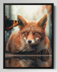 Fox Watching Butterfly