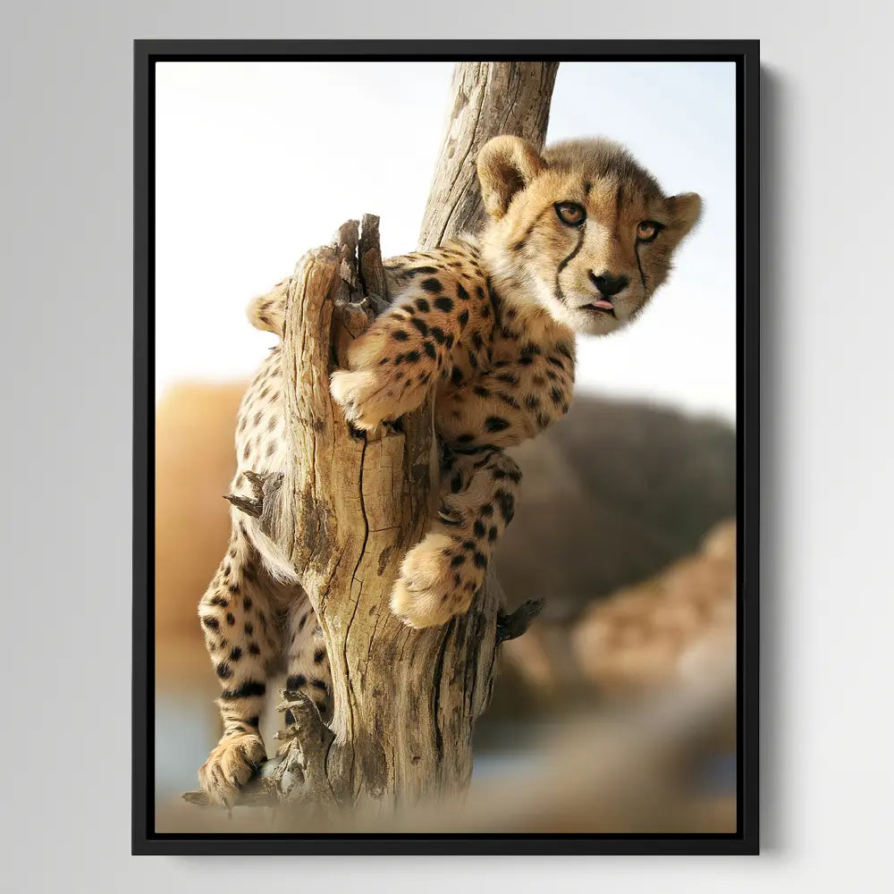 Hanging Cheetah Cub