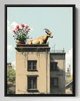 High Goat