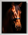 Horse Black Portrait