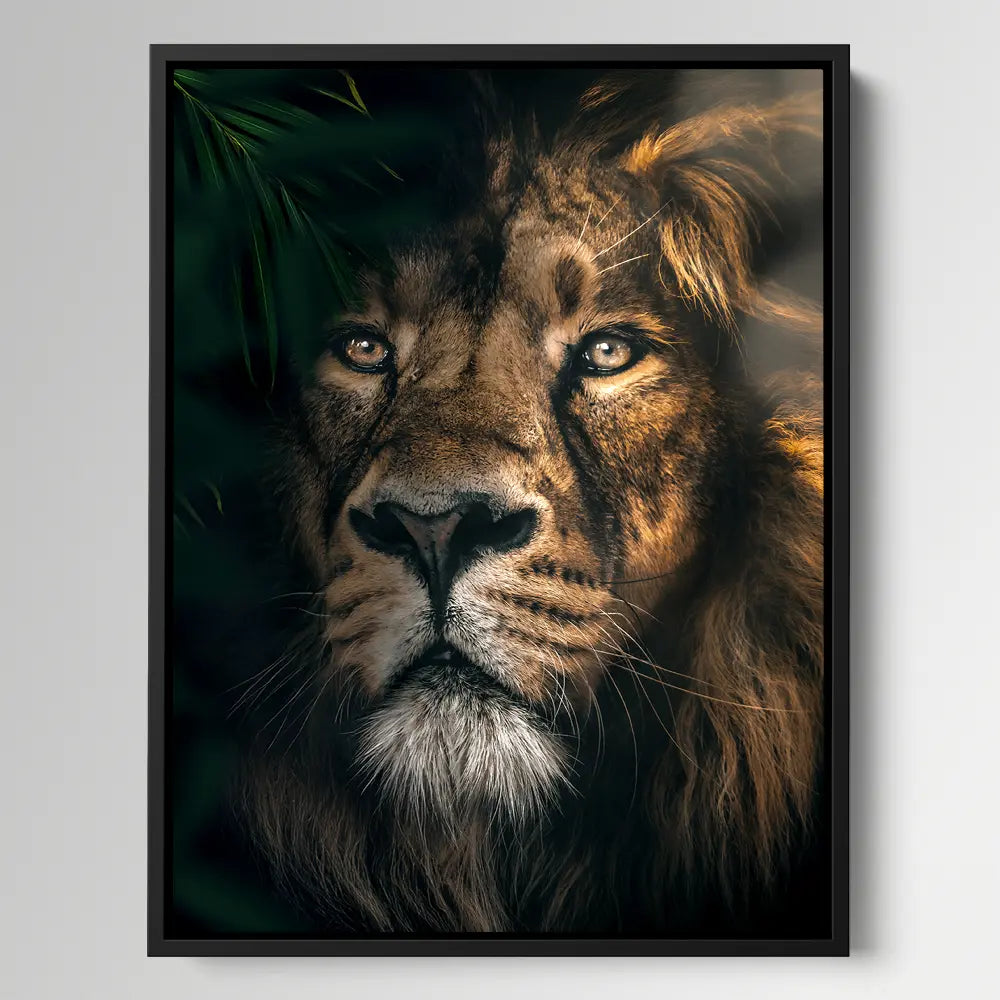 Jungle Lion