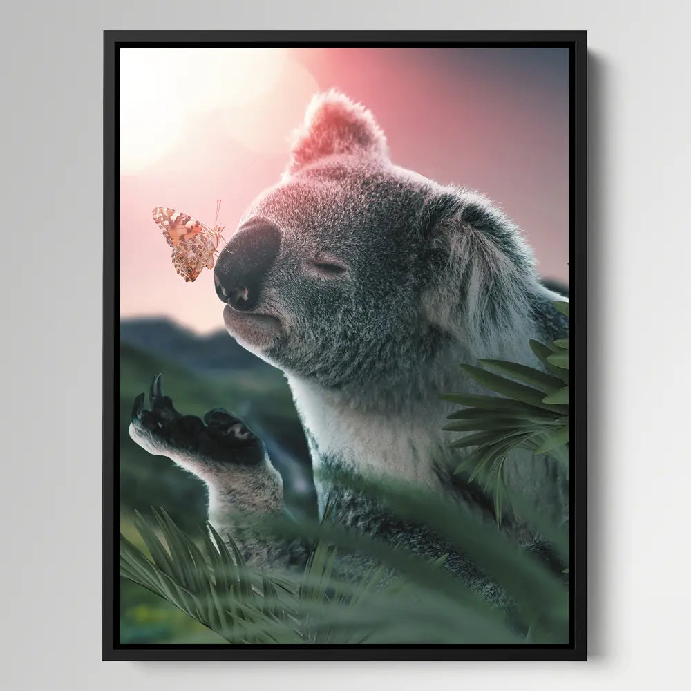 Koala Butterfly
