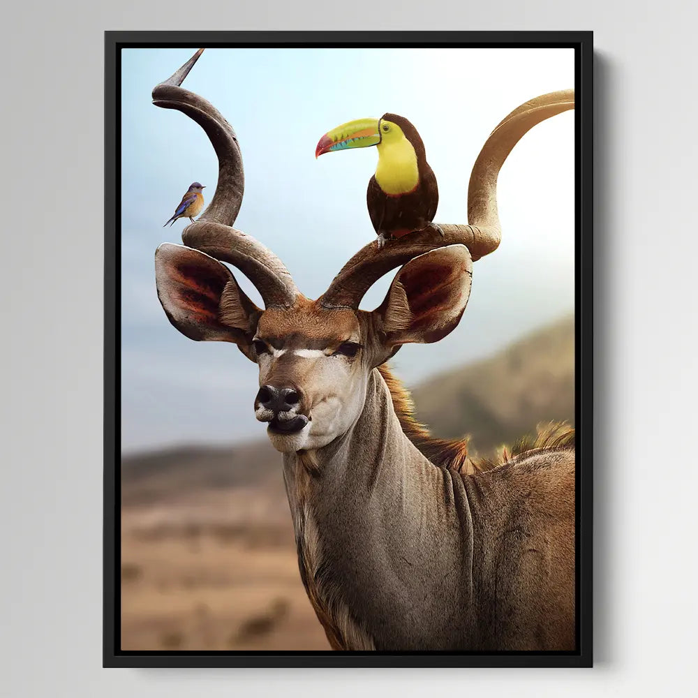 Kudu Birds