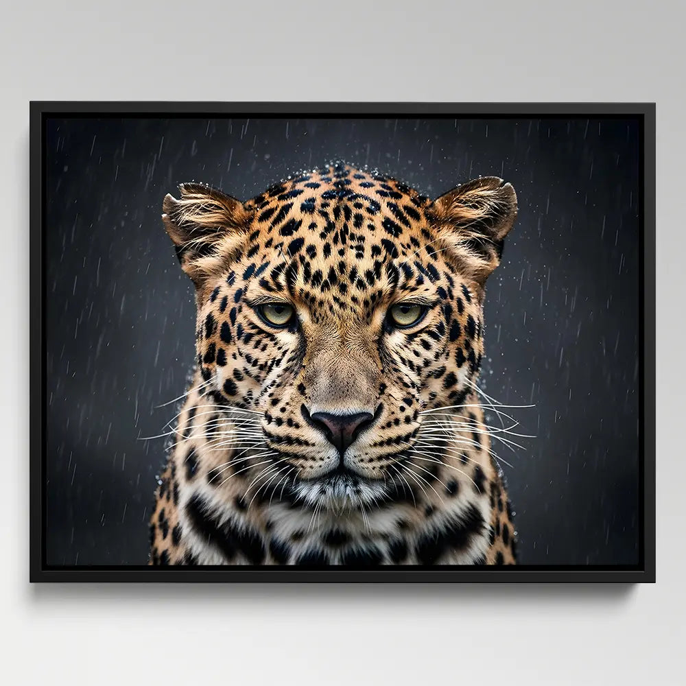 Leopard Rain