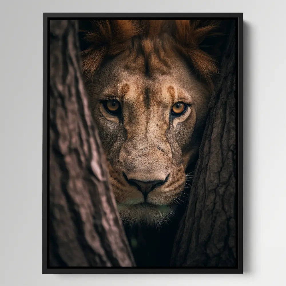Lioness Hiding