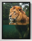 Lion In River