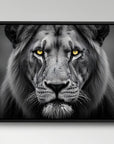 Lion Yellow Eyes