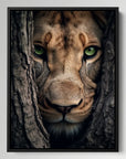 Lioness Hiding