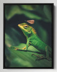 Lizard Dragonfly