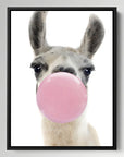 Llama Bubblegum