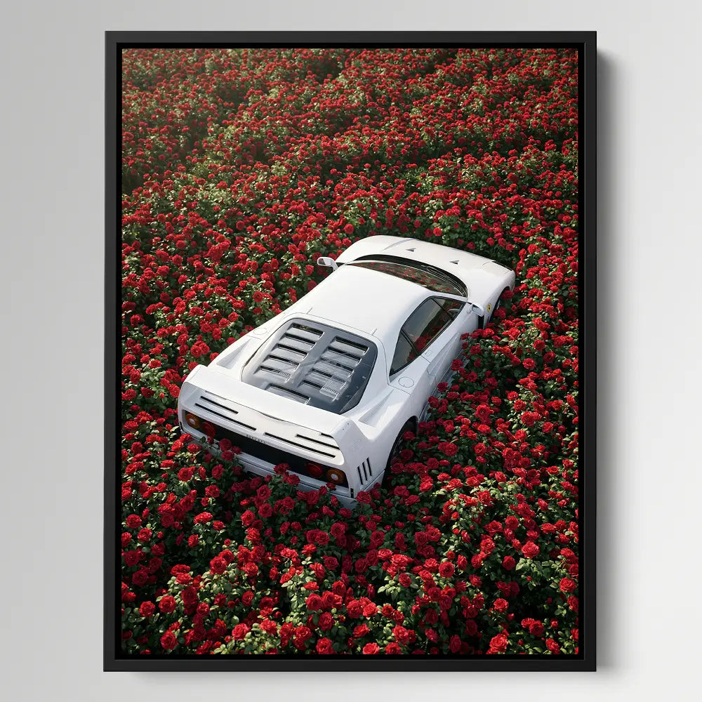 Luxury Among Roses