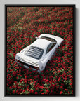 Luxury Among Roses